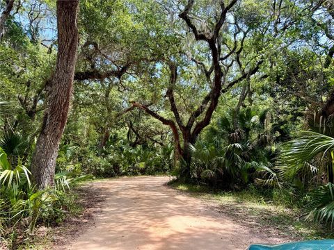 A home in PALM COAST