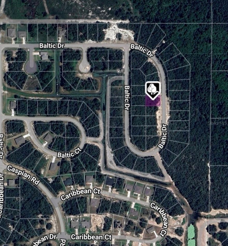 Build Your Dream in Poinciana – No HOA!

Discover the perfect opportunity to own vacant land at 1238 Baltic Dr, Poinciana, FL 34759. This residential lot offers a great setting to build your dream home or hold as an investment in a growing area of Polk County. Located in an established neighborhood with NO HOA, you’ll enjoy flexibility and freedom to design your future home your way.

Conveniently situated near schools, shopping, dining, parks, and medical facilities, with easy access to major roadways connecting you to Kissimmee, Orlando, and Central Florida attractions. Whether you’re ready to build now or invest for the future, this lot provides excellent potential at an affordable price point.

Drive by today and envision the possibilities!