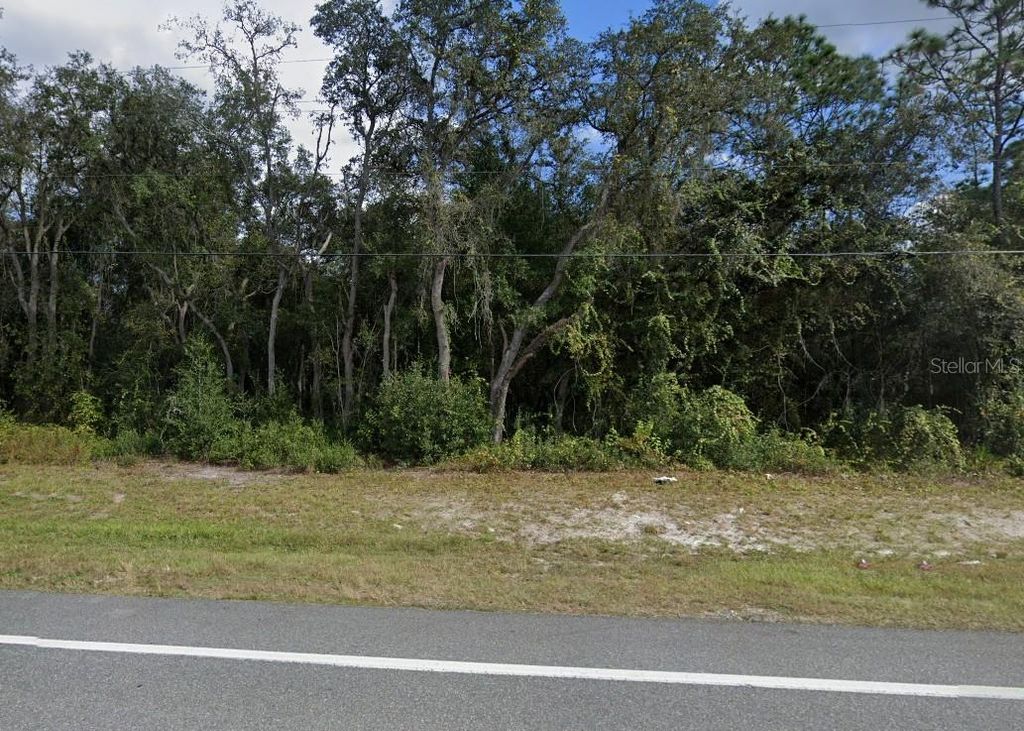 Photo of 7446 Treiman Boulevard, Webster, FL 33597 (MLS # TB8390708)