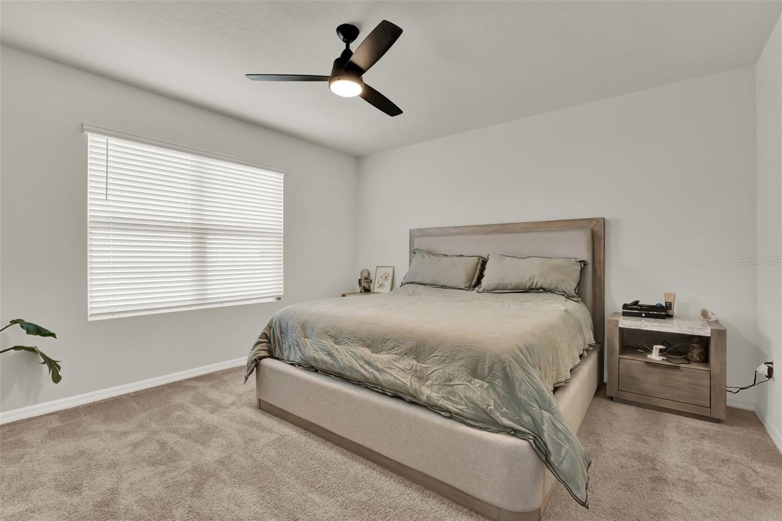 COURTLAND PARK PHASE 2 - Residential