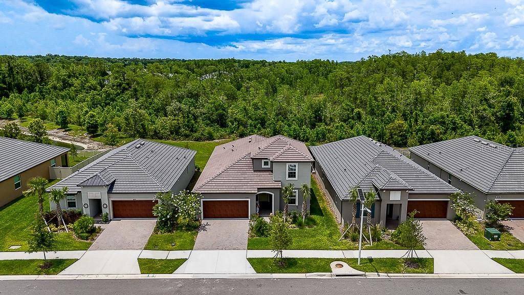 Photo of 10367 Banyan Breeze Boulevard, Land O Lakes, FL 34638 (MLS # TB8442806)