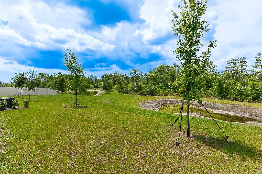 ANGELINE ACTIVE ADULT - Residential