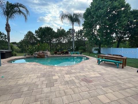 A home in MOUNT DORA