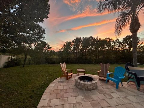 A home in MOUNT DORA