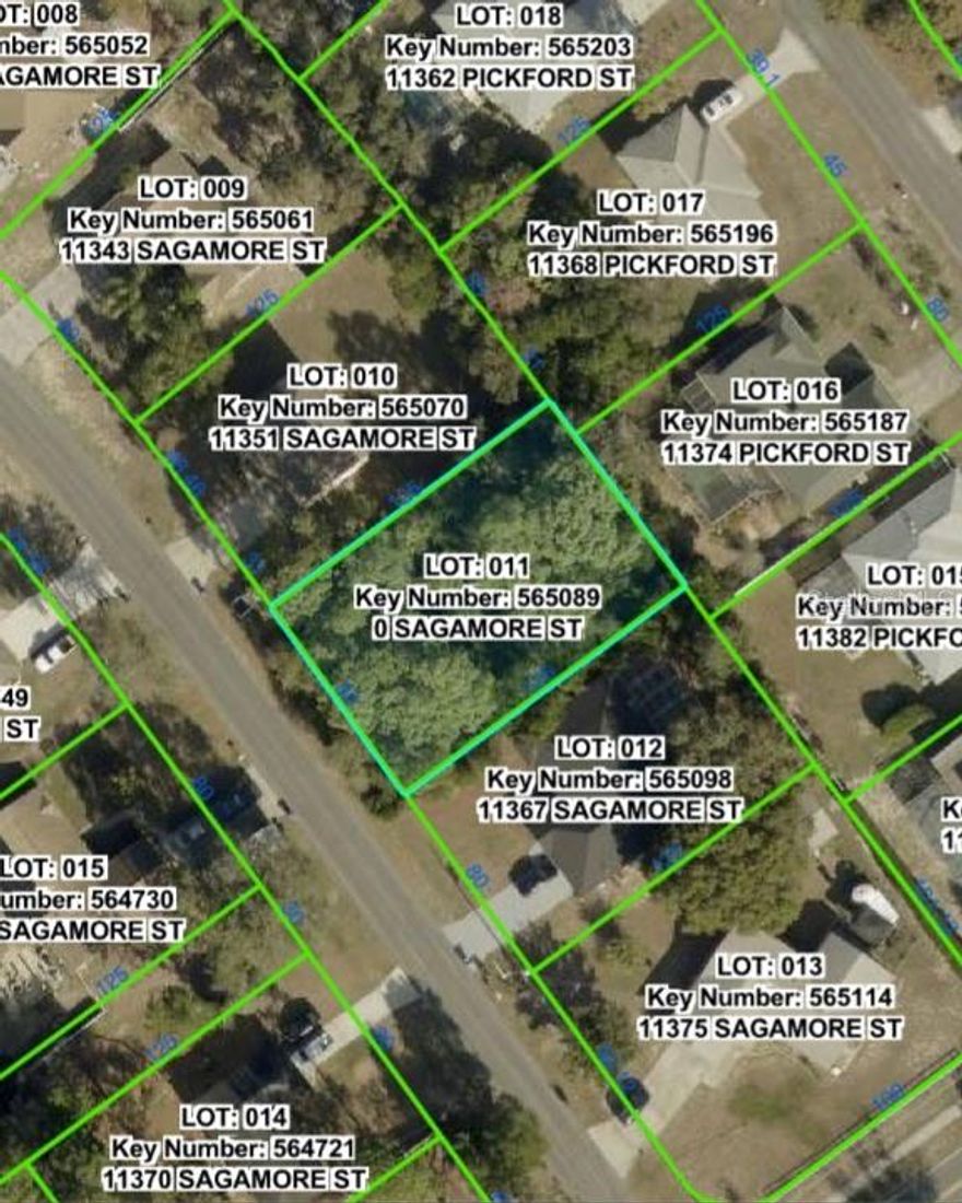 Build Your Dream Home in Sunny Spring Hill, Florida!  Discover the perfect opportunity to build your ideal residence on this 0.2-acre property in the desirable Spring Hill area.  Situated in a peaceful yet convenient location, this parcel offers a fantastic canvas for your custom home. Enjoy the benefits of Spring Hill's serene environment while still being just a short drive from local amenities, schools, and Florida's Gulf Coast.  Don't miss this chance to invest in your future. Explore the possibilities today!
