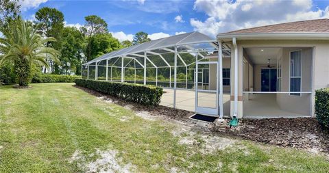 A home in MOUNT DORA