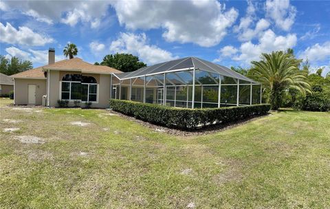 A home in MOUNT DORA