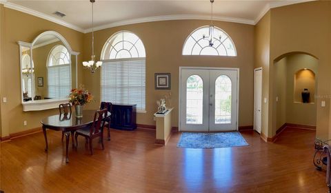 A home in MOUNT DORA