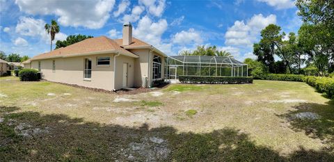 A home in MOUNT DORA