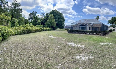 A home in MOUNT DORA