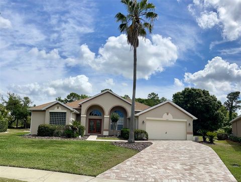 A home in MOUNT DORA