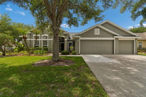 Photo of 10243 Shadow Branch Drive, Tampa, FL 33647 (MLS # TB8505934)