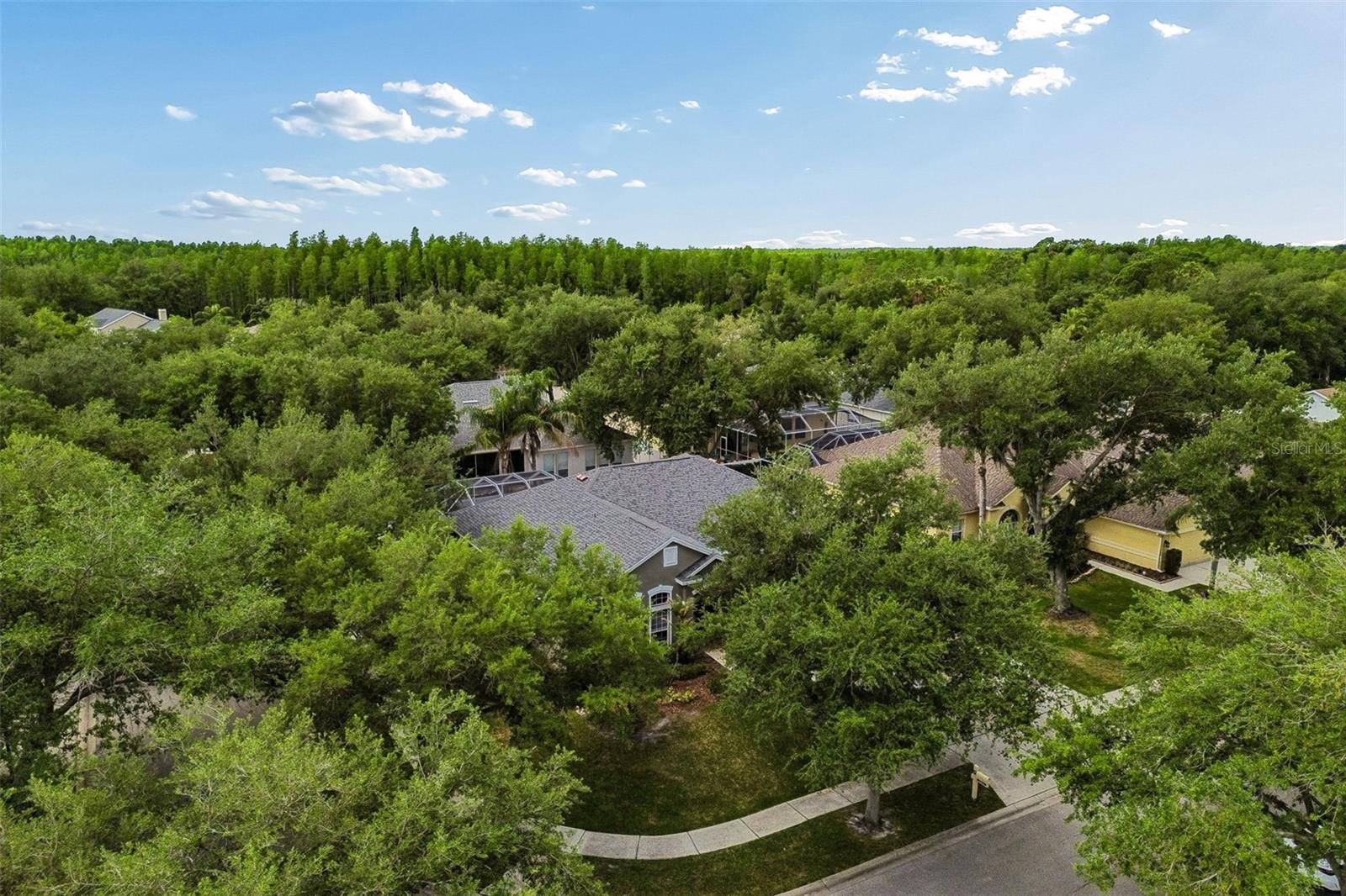 ARBOR GREENE PH 2 UNITS 1 A - Residential
