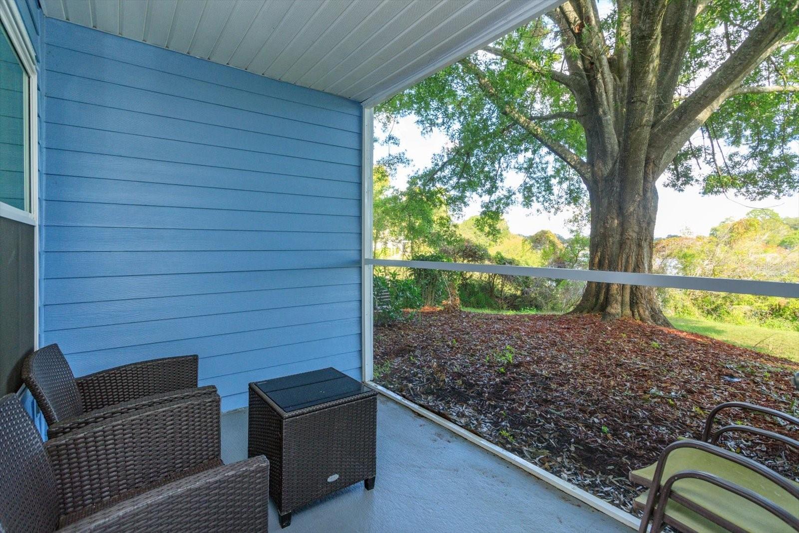 REGENCY PARK AT LAKE MARY A CONDO - Residential