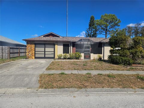 Photo of 2801 Narcissus Drive, Holiday, FL 34691 (MLS # TB8483047)