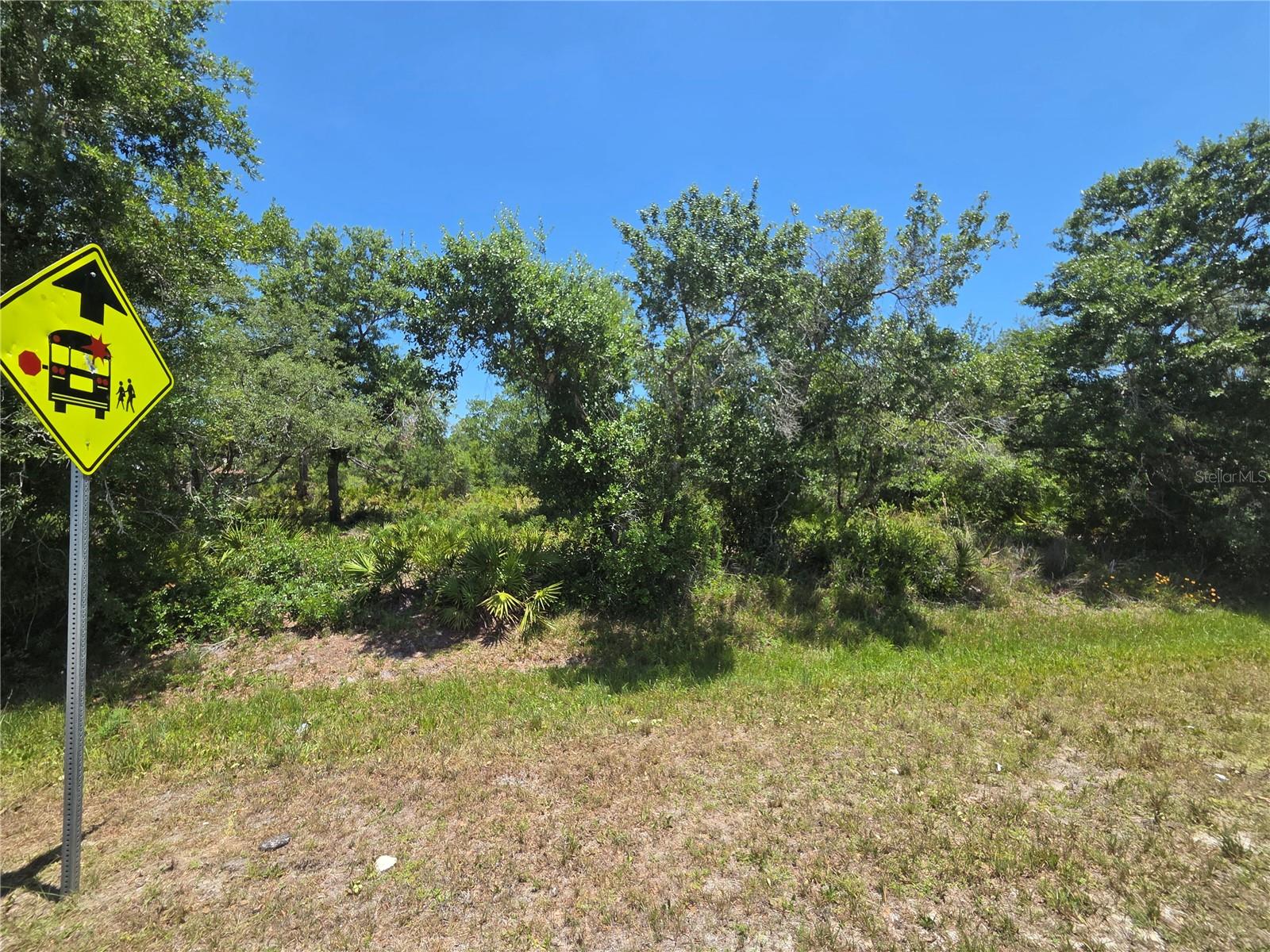 33410 WASHINGTON LOOP ROAD
