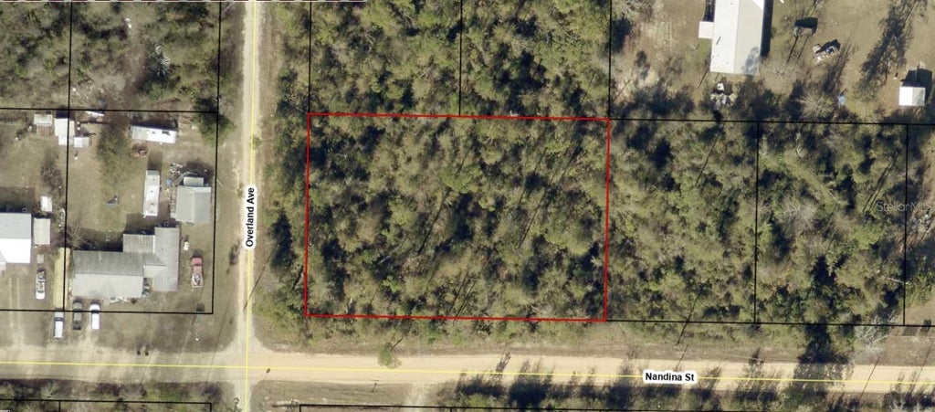 Photo of 1653 Nandina Street, Fountain, FL 32438 (MLS # A4705848)