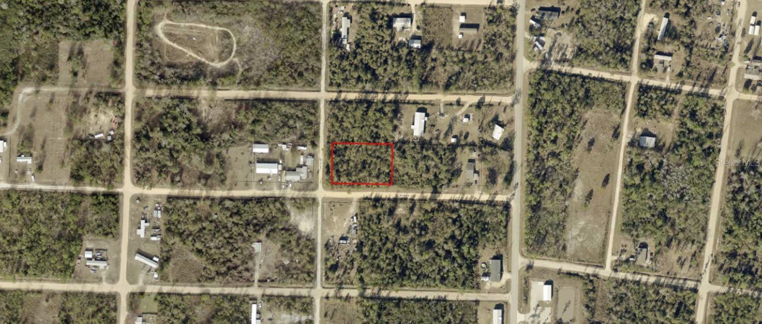 01653-000-000 NANDINA STREET
