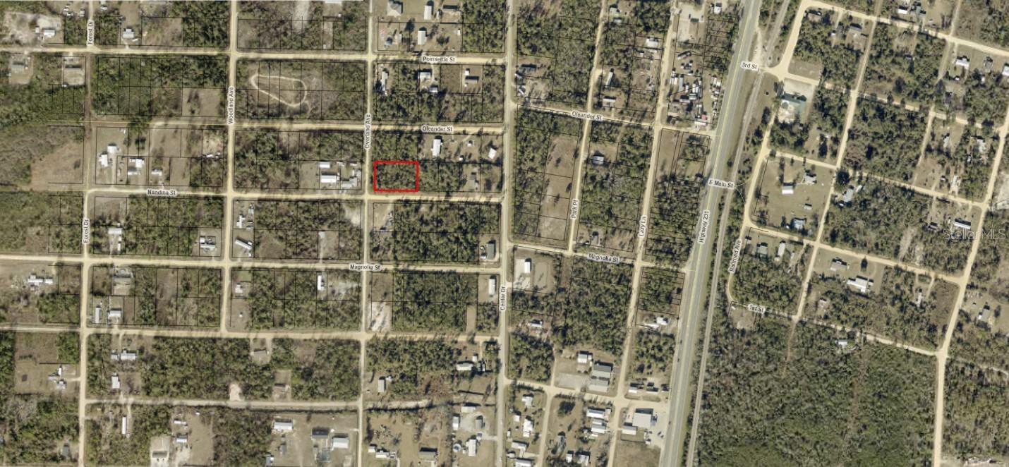 01653-000-000 NANDINA STREET