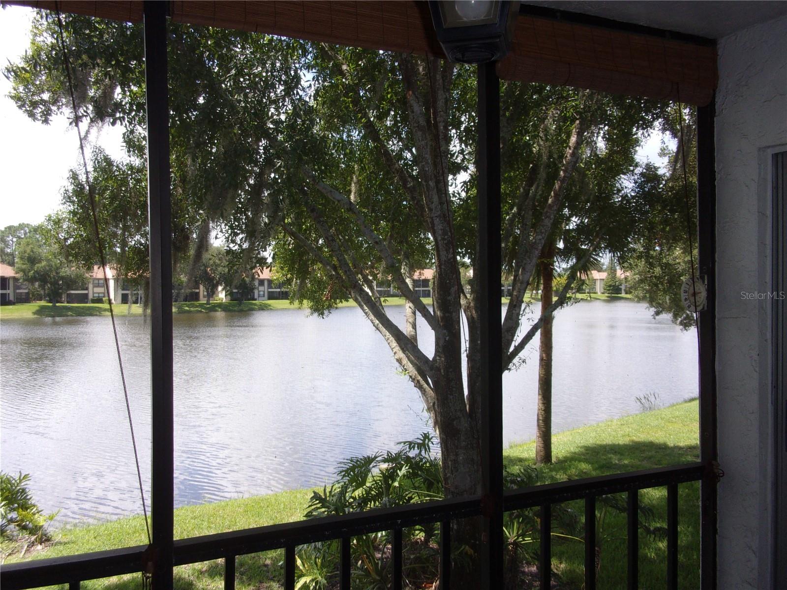 EAST LAKE WOODLANDS CYPRESS ESTATES - Residential Lease