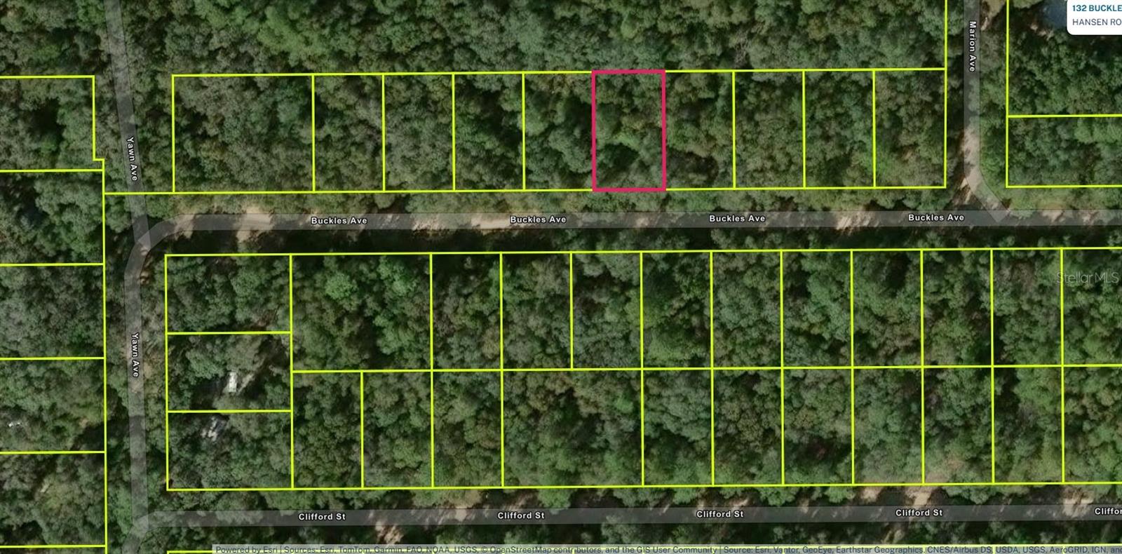 Lot 8, Unit 7, Blk 42 BUCKLES AVENUE
