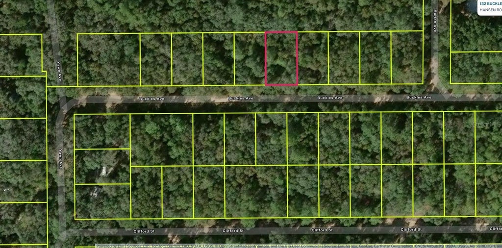 Photo of 8 Buckles Avenue, Interlachen, FL 32148 (MLS # OM727836)