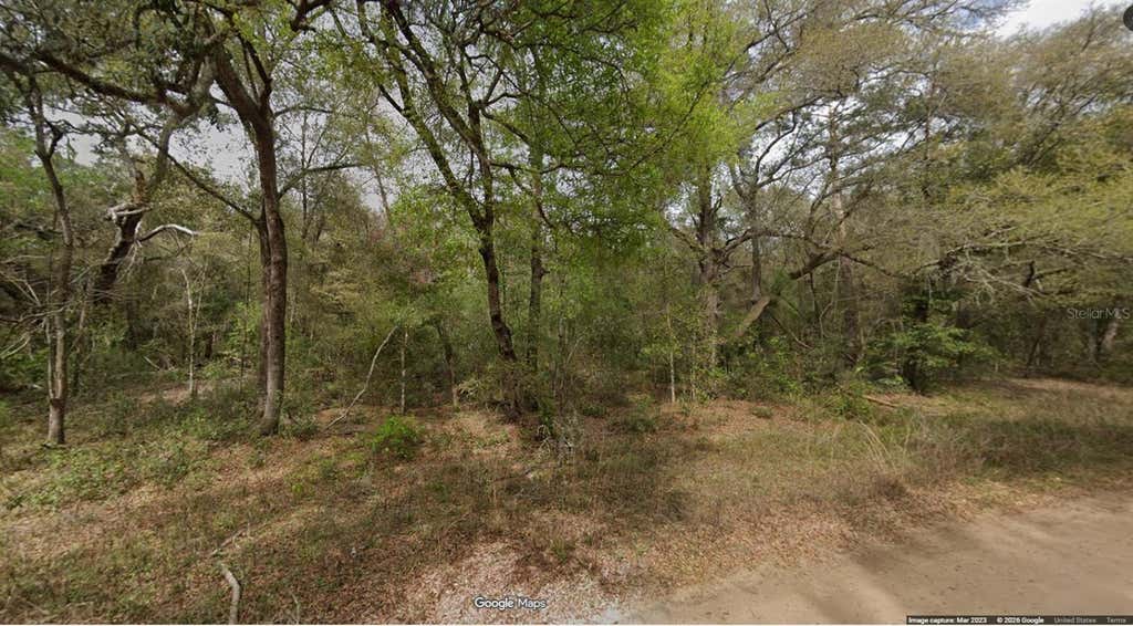 Photo of 8 Buckles Avenue, Interlachen, FL 32148 (MLS # OM727836)