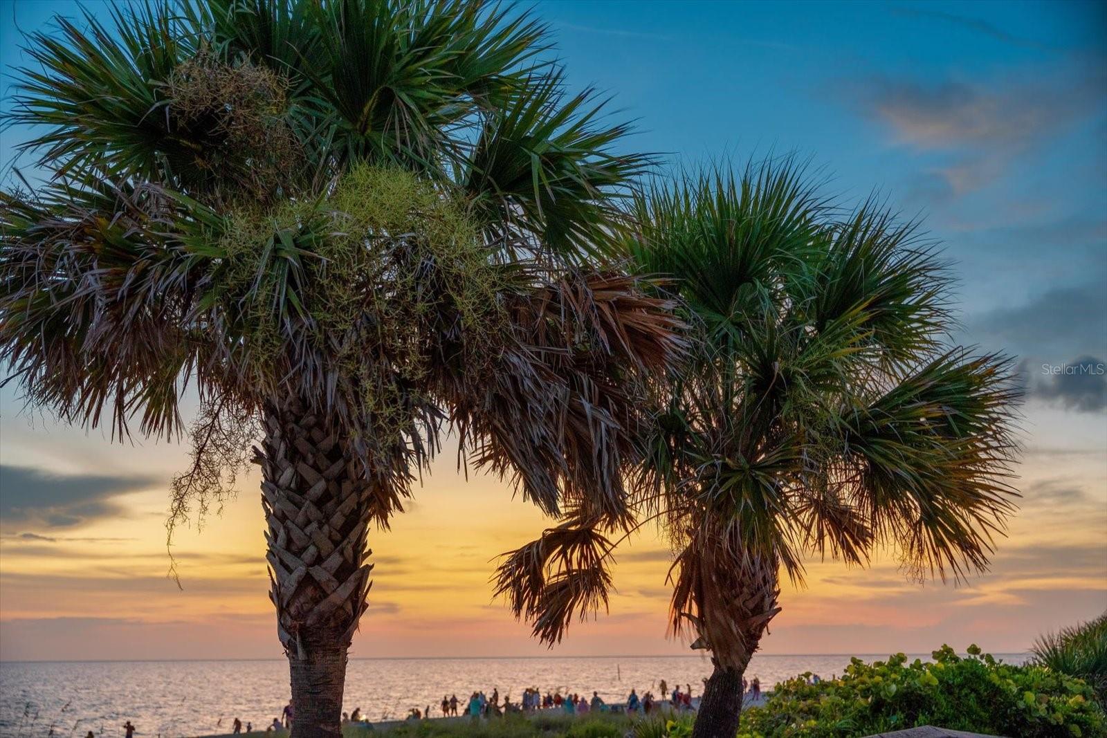 POINT OF PINES - Residential