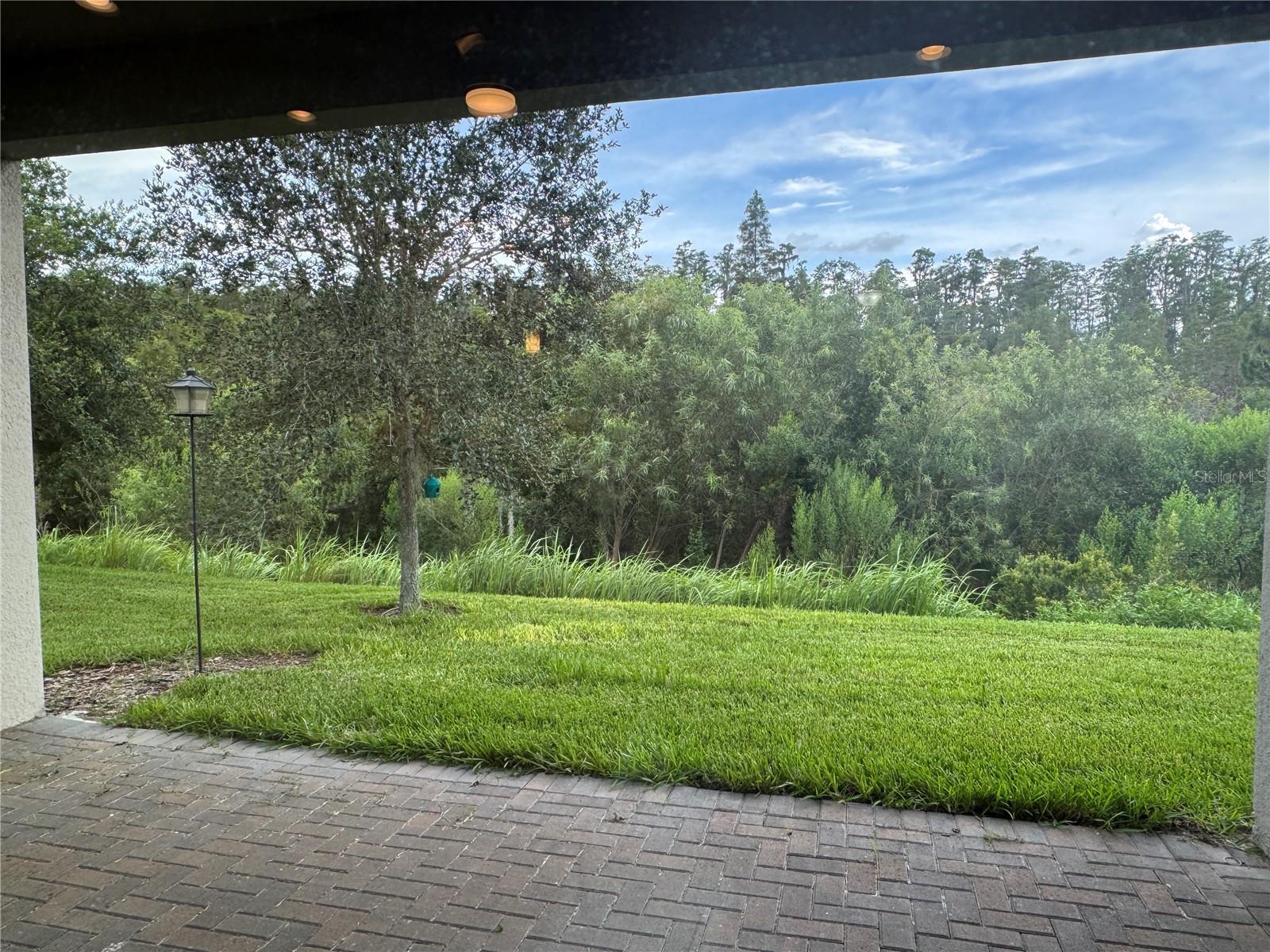 WIREGRASS M23 PH 3 - Residential Lease