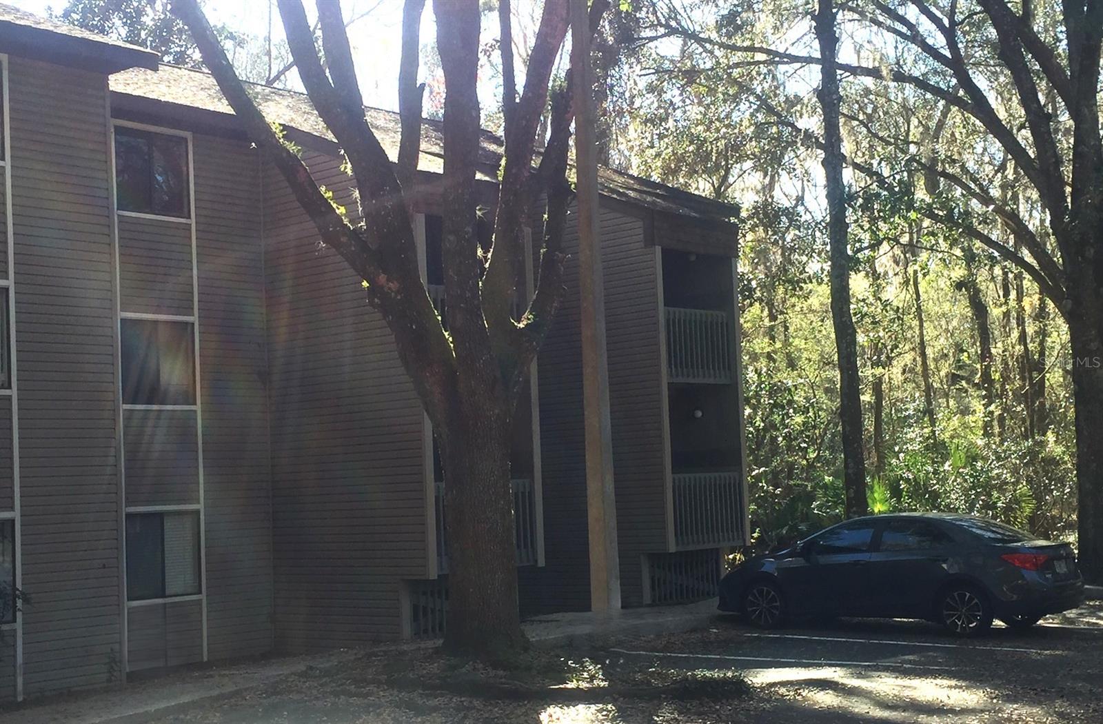 TREEHOUSE VILLAGE - Residential