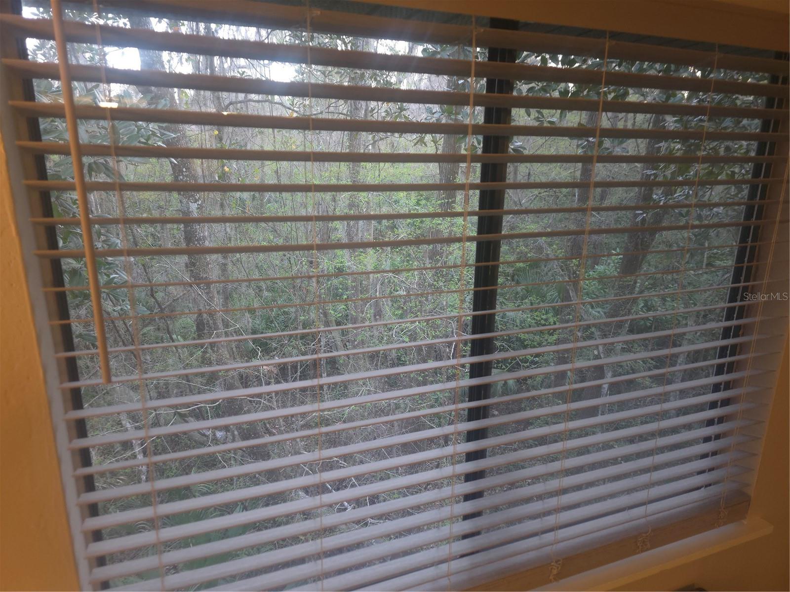 TREEHOUSE VILLAGE - Residential