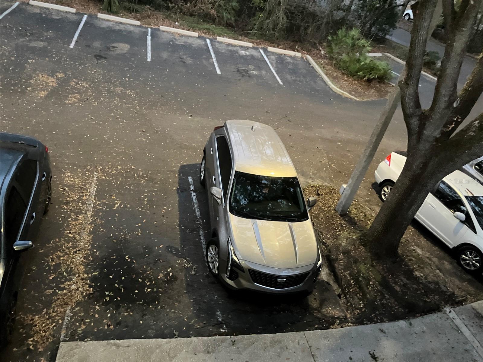 TREEHOUSE VILLAGE - Residential