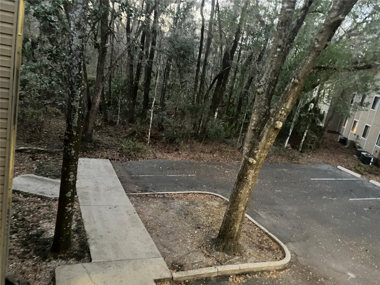 TREEHOUSE VILLAGE - Residential