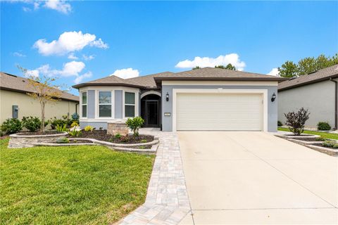 Photo of 8983 SW 57th Place Road, Ocala, FL 34481 (MLS # OM724655)