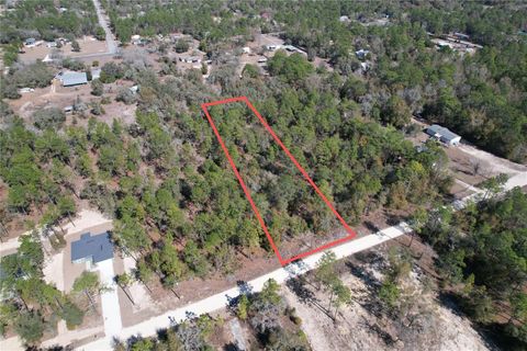 SW 47TH PLACE DUNNELLON FL 34432