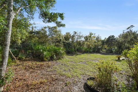 A home in DELTONA