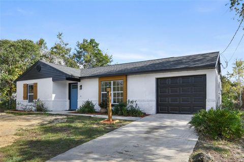 A home in DELTONA