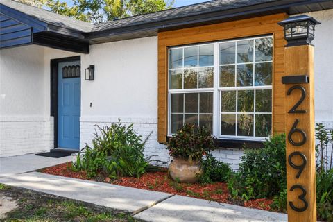 A home in DELTONA