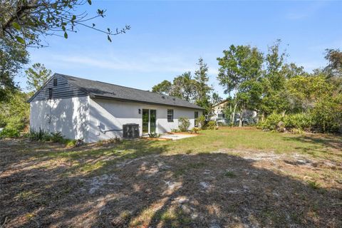 A home in DELTONA