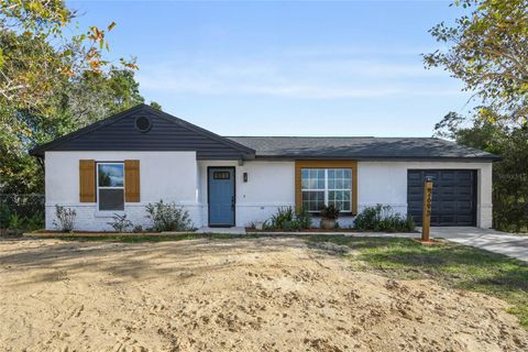 A home in DELTONA