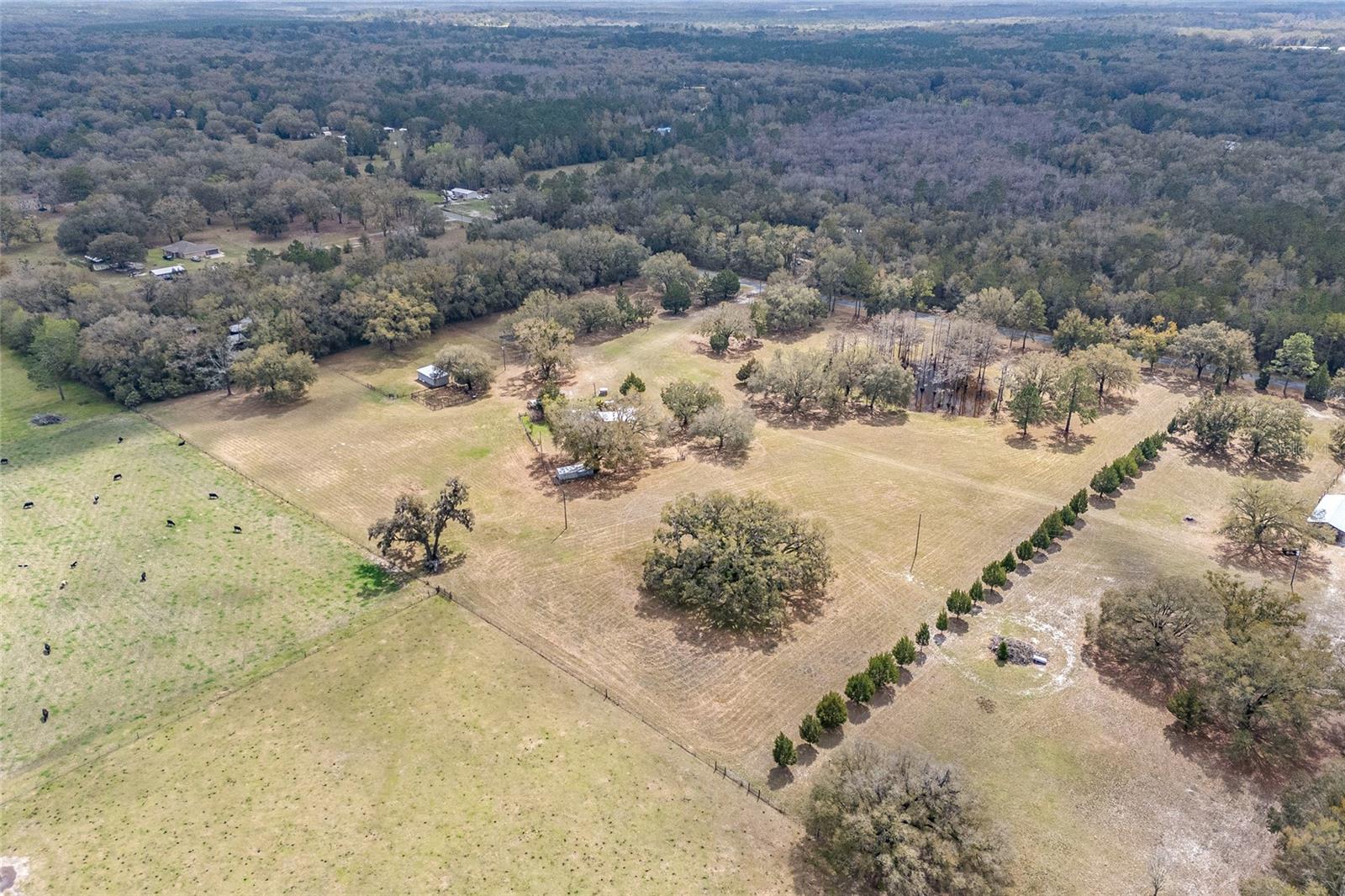 667 SW ELIM CHURCH ROAD