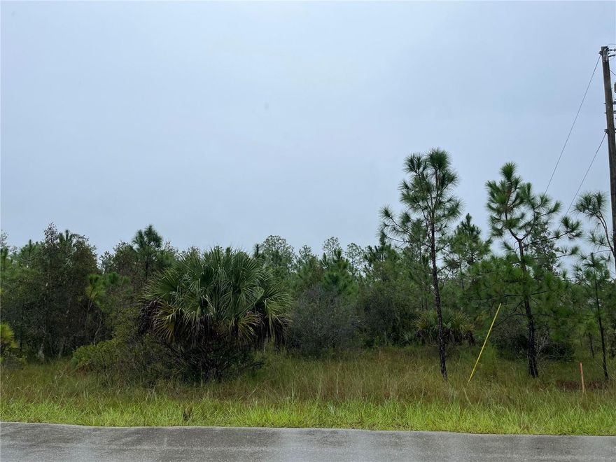 This large corner duplex lot zoned RM-2 ready to go for either duplex construction or a single-family home. Great location, with easy access to Lee Blvd and Fort Myers corridor. Close to shopping, restaurants, schools and all the amenities Lehigh Acres, Ft Myers and Ft Myers Beach has to offer. This property is an excellent investment and is not in an HOA. Don't miss out on this fantastic opportunity!