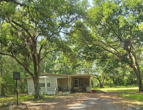 Photo of 38625 County Line Road, Zephyrhills, FL 33540 (MLS # TB8513170)