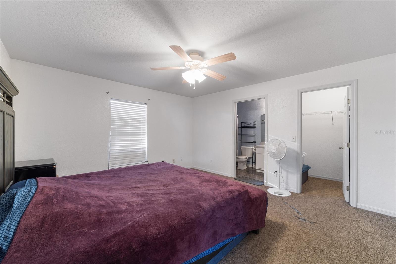 OCALA PARK ESTATE - Residential