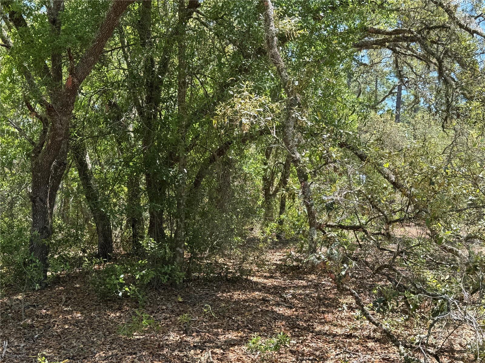 RAINBOW ACRES UNIT 3 - Land