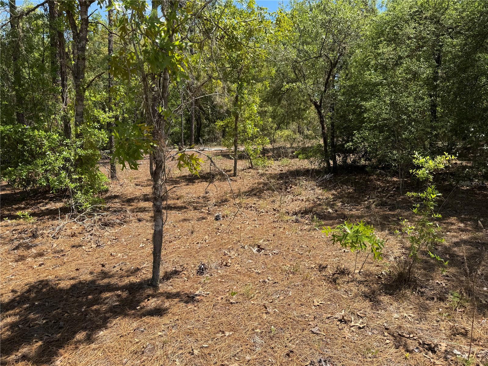 RAINBOW ACRES UNIT 3 - Land