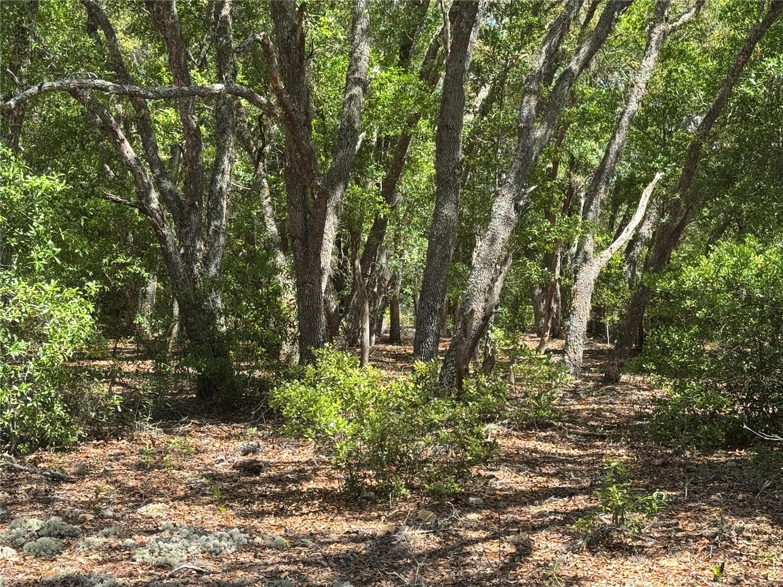 RAINBOW ACRES UNIT 3 - Land