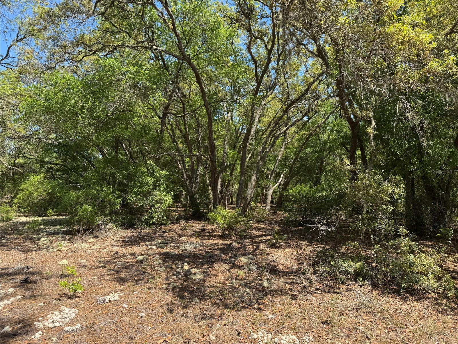 RAINBOW ACRES UNIT 3 - Land