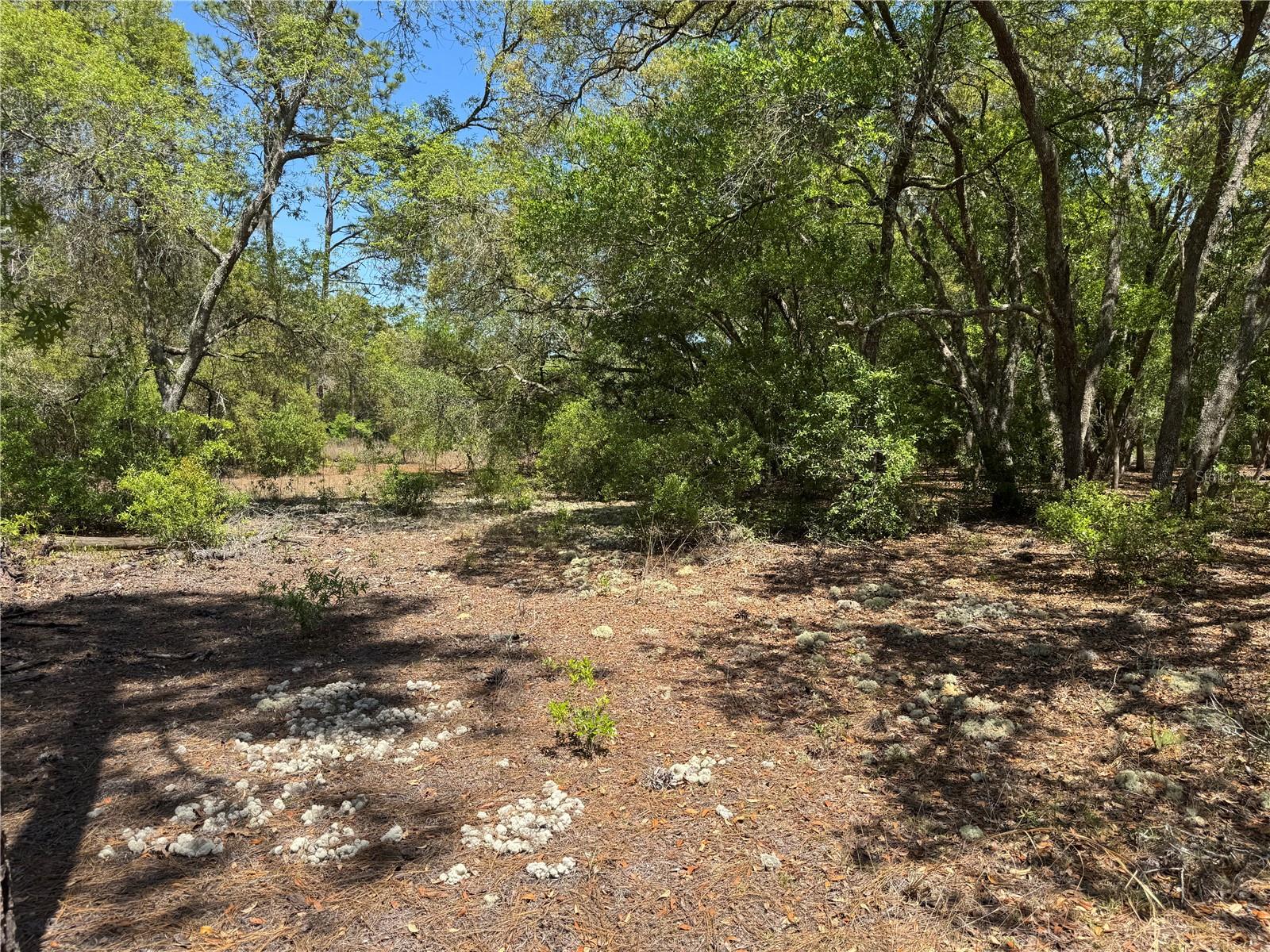 RAINBOW ACRES UNIT 3 - Land