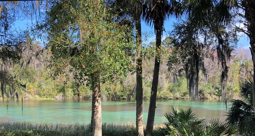 Photo of 2 SW 59th Lane, Dunnellon, FL 34431 (MLS # OM723007)